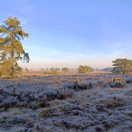 Chalet 42 'Vuursteenberg' Bospark Ijsselheide Zwolle Hattemerbroek Eksteriør bilde